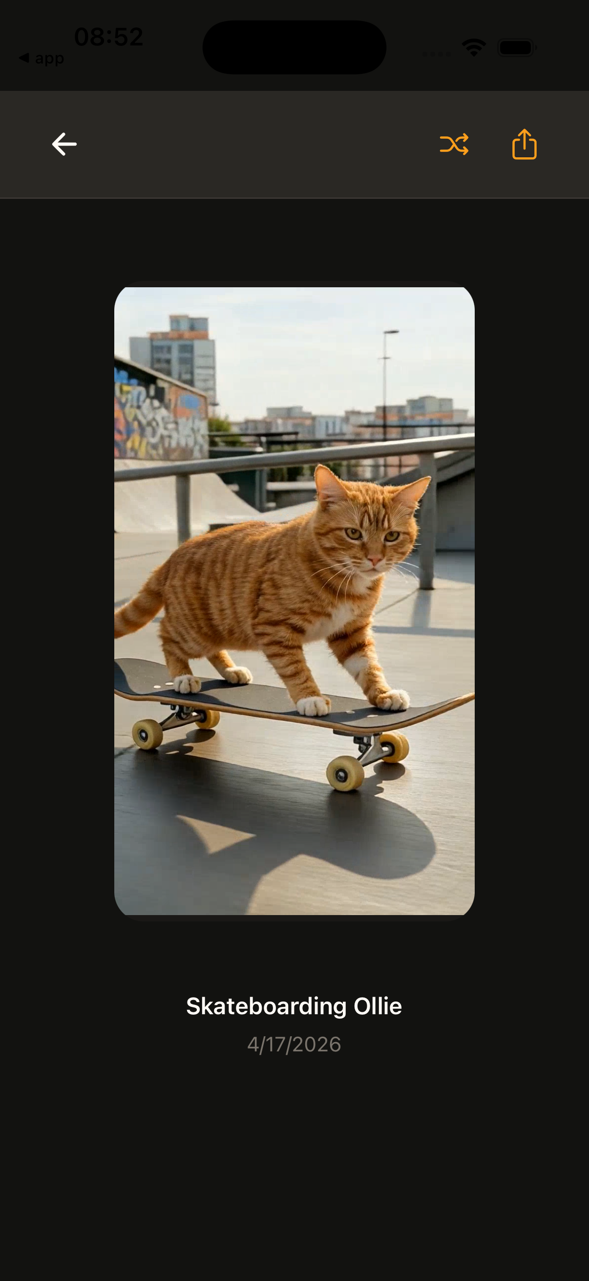 Generated custom video result in the app