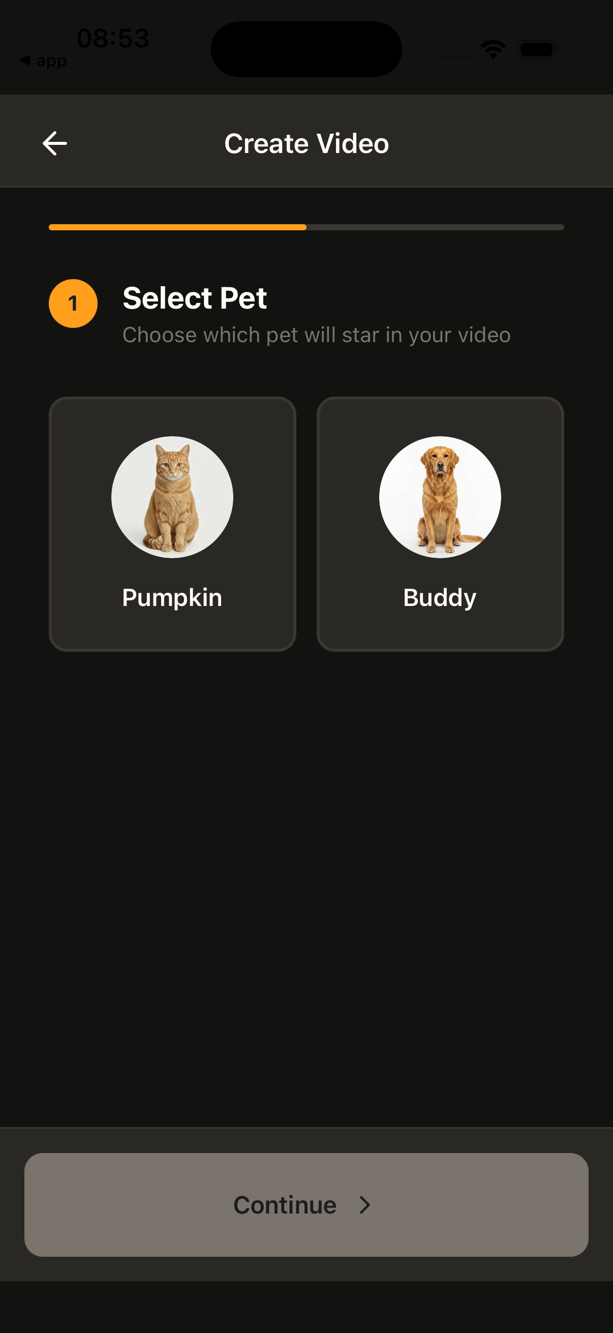 Select Pet step for a custom video