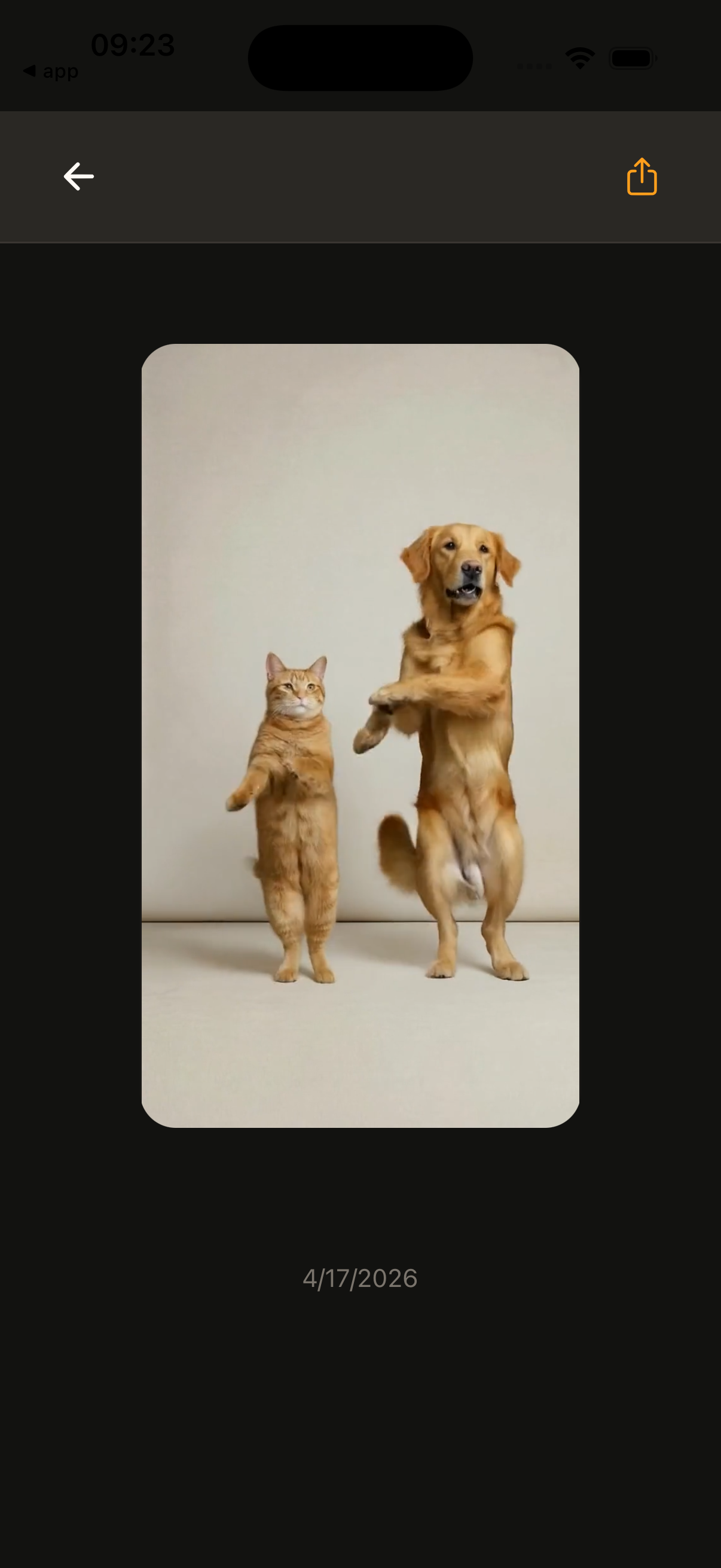 Generated motion template video result in the app