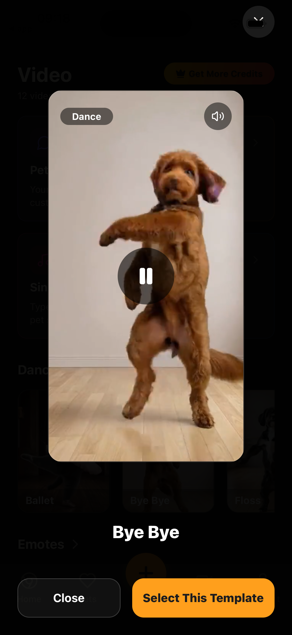 Motion template preview with select button