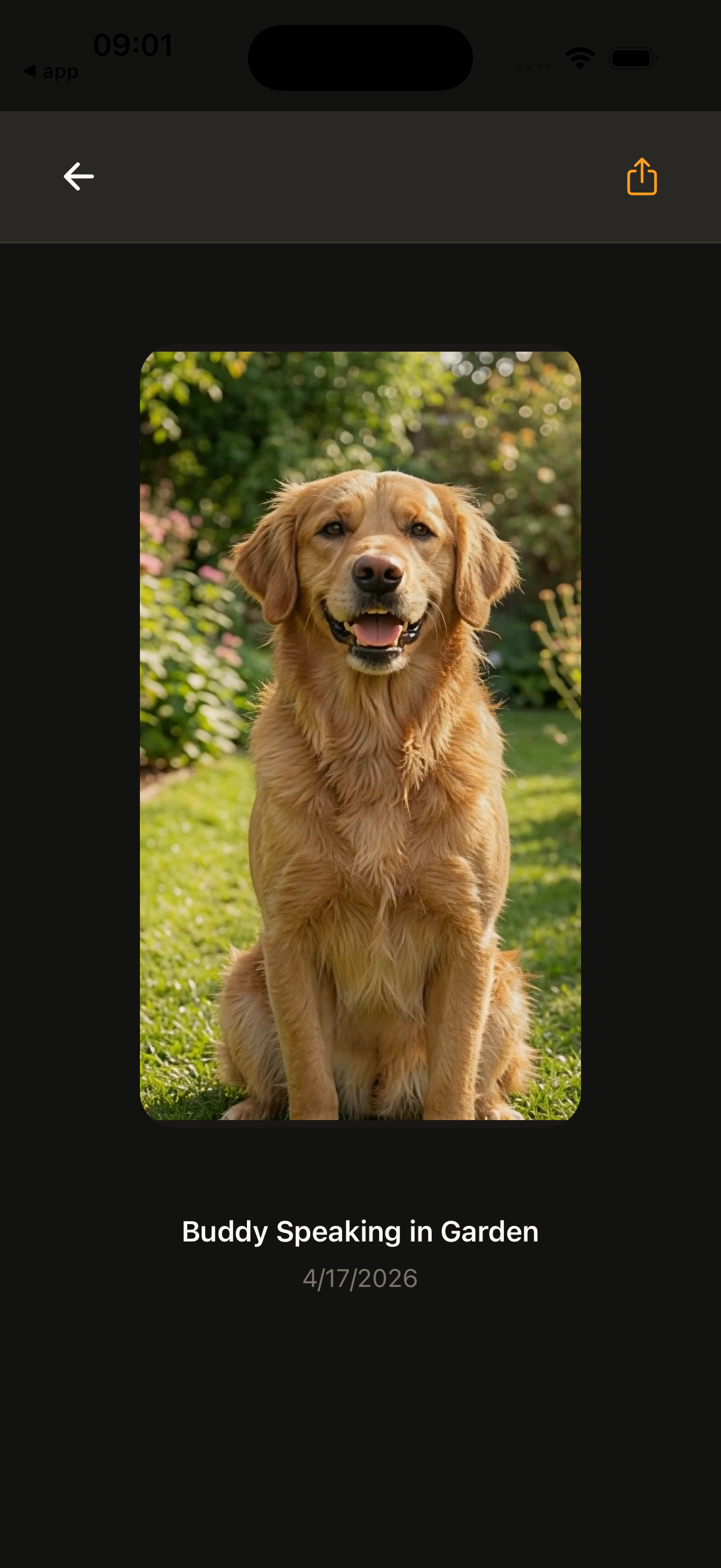 Generated pet speech result in the app