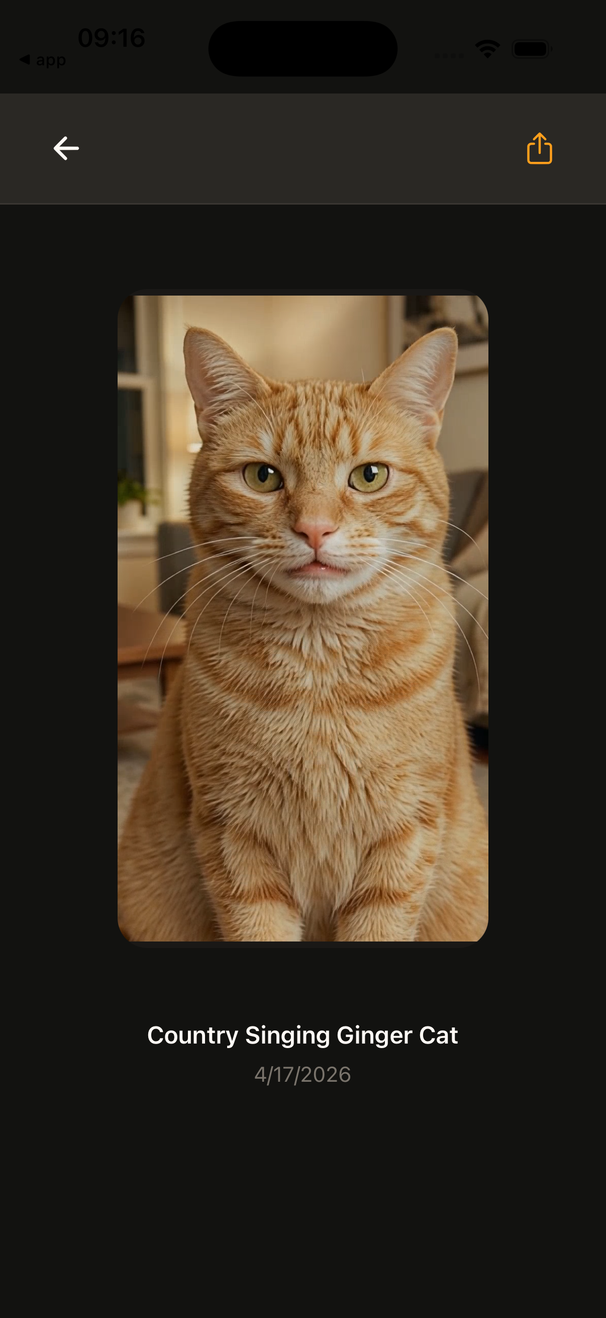 Generated singing video result in the app